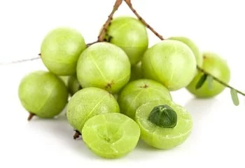 Amalaki