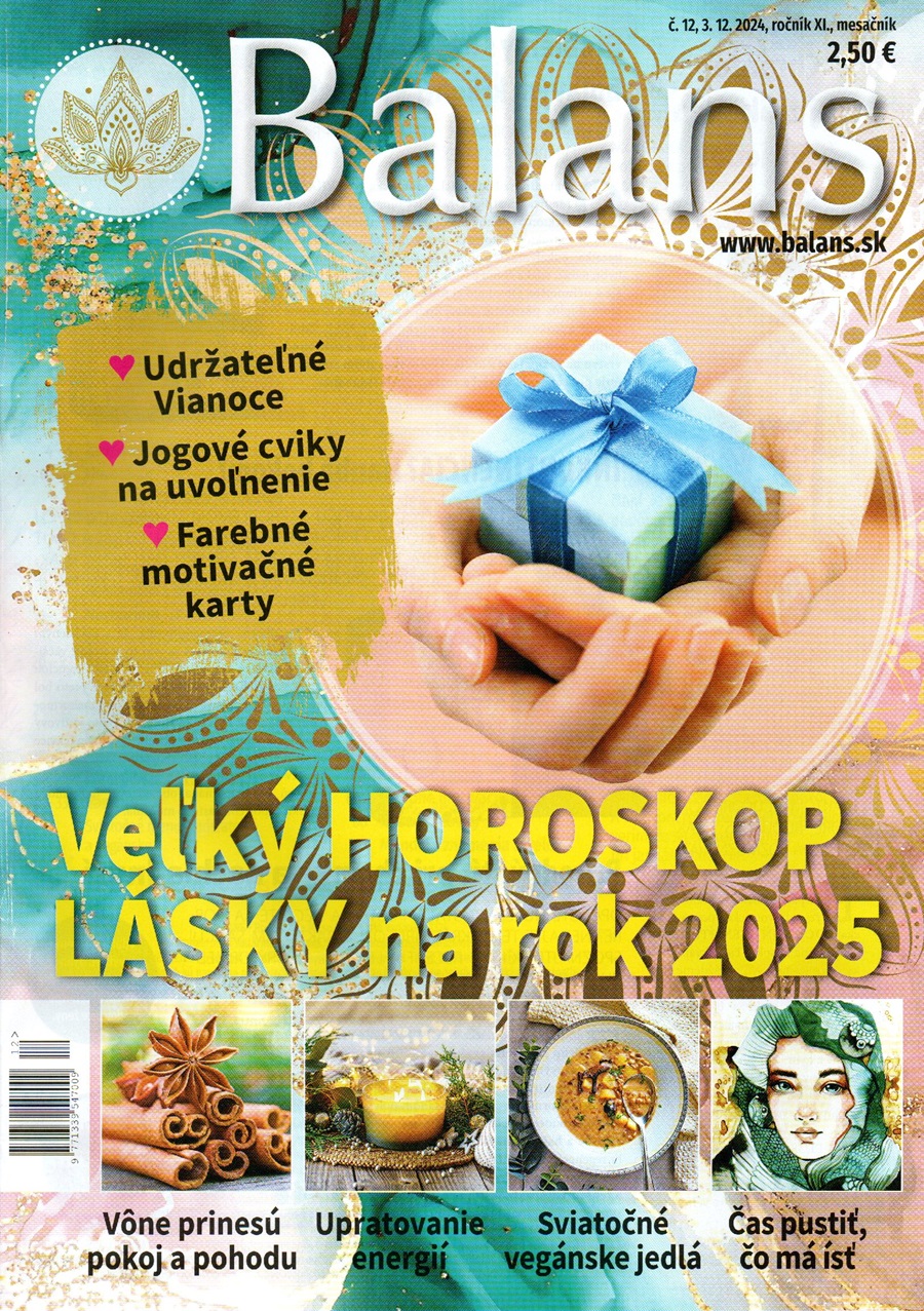 BALANS-december-2024