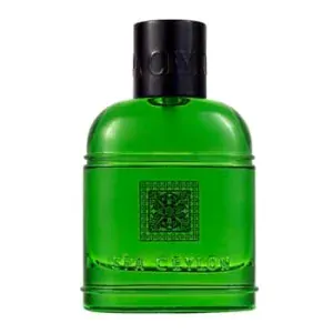 Pánska parfumovaná voda - grapefruit, bergamot, vetiver, pelargónia - GREEN