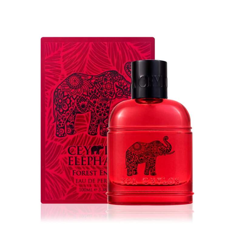 Spa Ceylon - FOREST ENERGY - Pánska parfumovaná voda - 100 ml