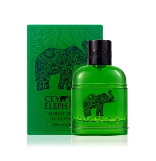 Pánska parfumovaná voda - bergamot, citrón, lesné bobule, cejlónske korenie - FOREST ESCAPE